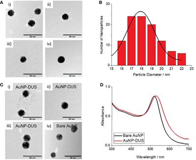 Rapid Detection of Neisseria gonorrhoeae Genomic DNA Using Gold Nanoprobes Which Target the Gonococcal DNA Uptake Sequence